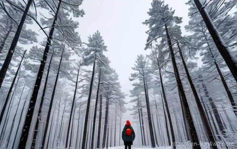 숲 테라피에 적합한 지역 추천 - **Prompt: Reflective Pause in an Autumnal Woodland**
    A wide shot of an individual, around 30-40 ...