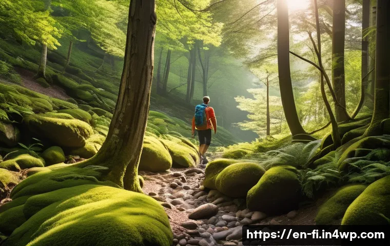 숲 테라피와 신체적 능력 개선 - A serene forest trail scene during early morning light, showcasing a diverse terrain with roots, roc...